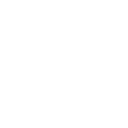 Buen Ride